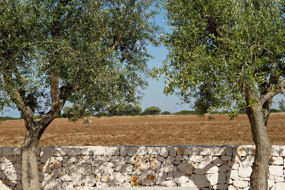 Grand Hotel Masseria Santa Lucia Ostuni Bagian luar foto